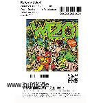 : WIZO bringt das Licht nach Wiesbaden!