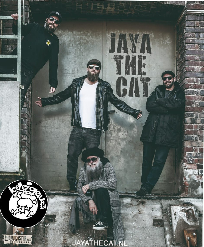 : HardTicket JAYA THE CAT / SAM IRIE & BAND 