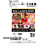 : PUNKROCKSOMMER
