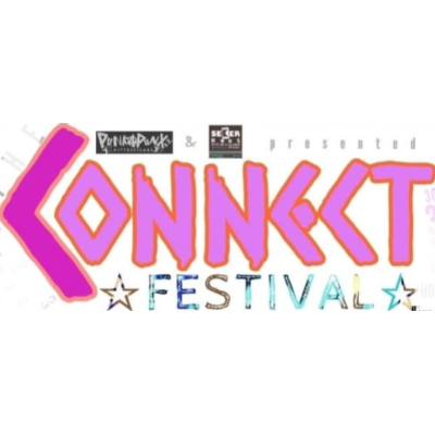 : Connect Festival 2025 Freitagticket by Punk4PunX